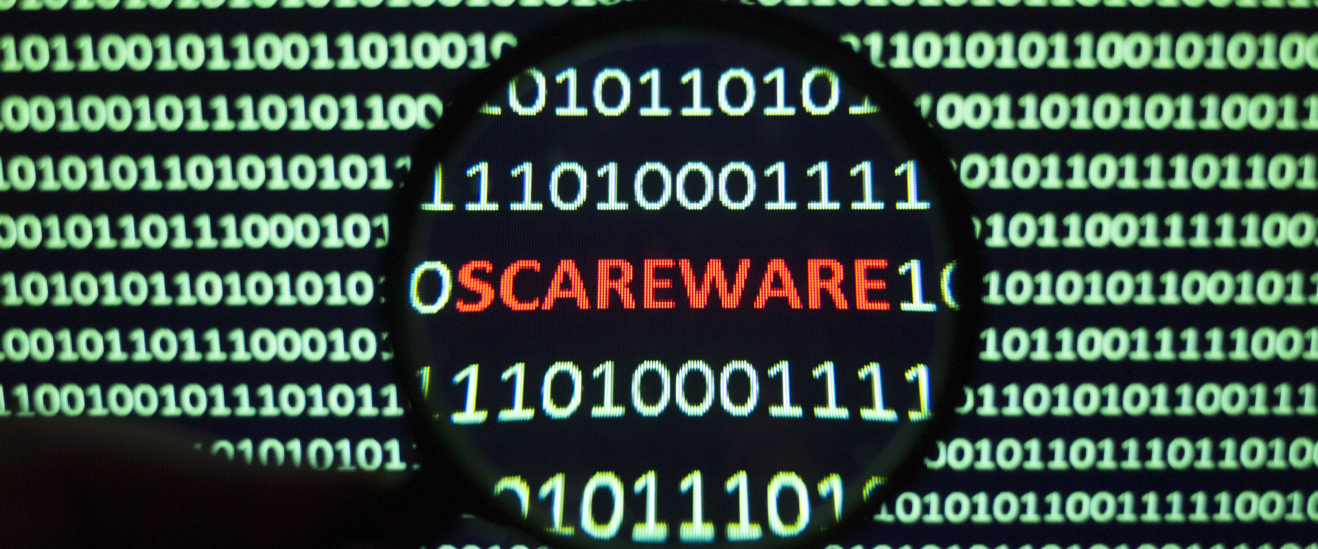Outsmarting Scareware: A NetConnect Case Study on Cyber Resilience